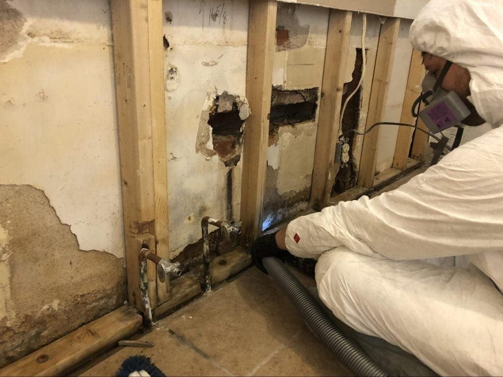 Water Damage Cleanup & Mold Remediation in Tucson