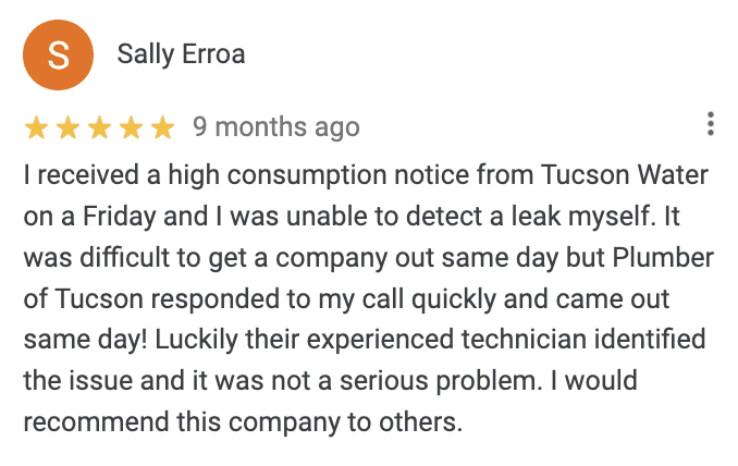 Google Review from Sally Erroa