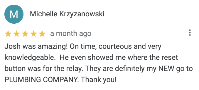 Google Review from Michelle Krzyzanowski